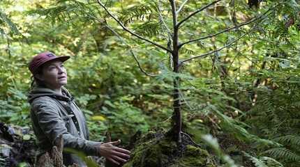 Lisa Ciecko, a Seattle Parks and Recreation plant ecologist