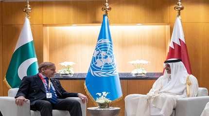 Shehbaz Sharif and Sheikh Tamim bin Hamad Al Thani