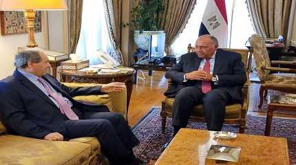 Sameh Shoukry meets with Faisal Mekdad