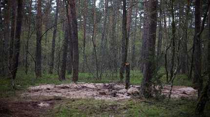 unidentified military object were found in a northern Polish forest