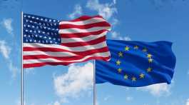  USA EU Flags