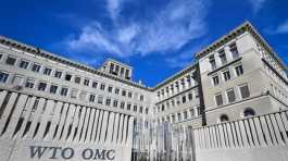  WTO World Trade Organisation