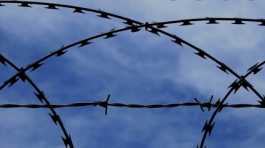  barbed wire