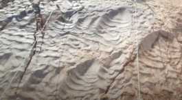 70m year old dinosaur footprints in Egypt