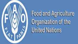 Food and Agriculture Organization