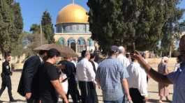 Jewish settlers raid Al-Aqsa