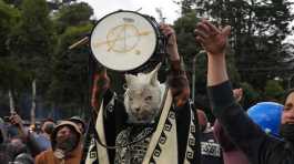 A protester dressed as a llama participates in a protest 