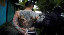 police detains a man in a seized MS-13 gang