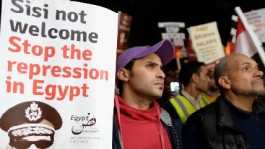 protest against Al-Sisi