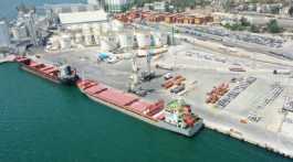 Port with wheat grain ships