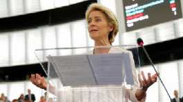 Leyen 