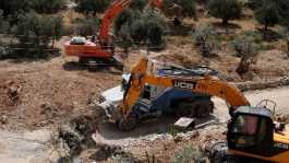 Israeli bulldozers uprooting Palestinian olive trees