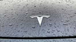 Tesla logo on the hood of a car