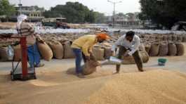 three million tonnes of wheat