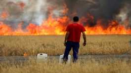 fire burning a wheat field