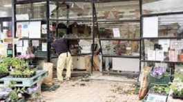 car crashes into store