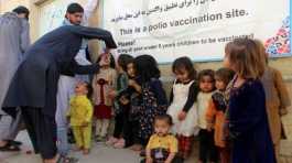 Polio Cases Detected In Afghanistan
