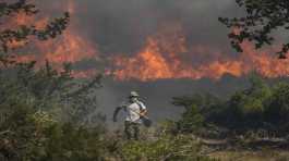 Flames burn a forest in vati village