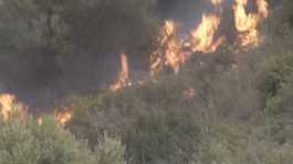 Wildfires raging across Algeria