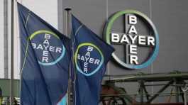 Logo and flags of Bayer AG