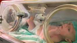 New born baby in incubator
